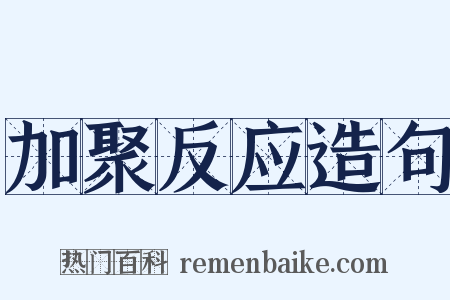 加聚反应造句是什么意思的图片